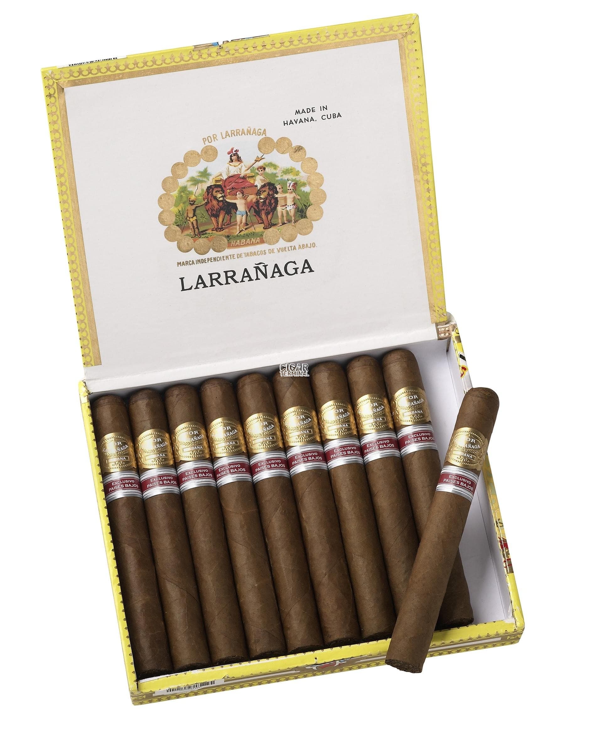 荷兰地区限定Edición Regional Países2017（10支）