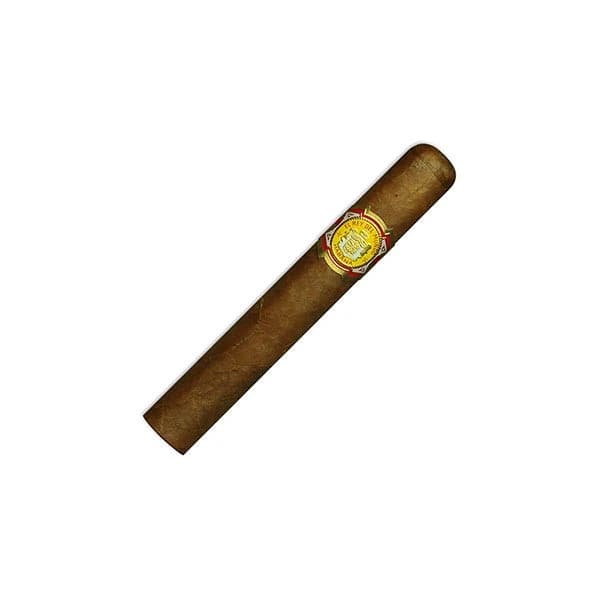 王者之选(黄萝卜) Choix Supreme (25枝) - 3