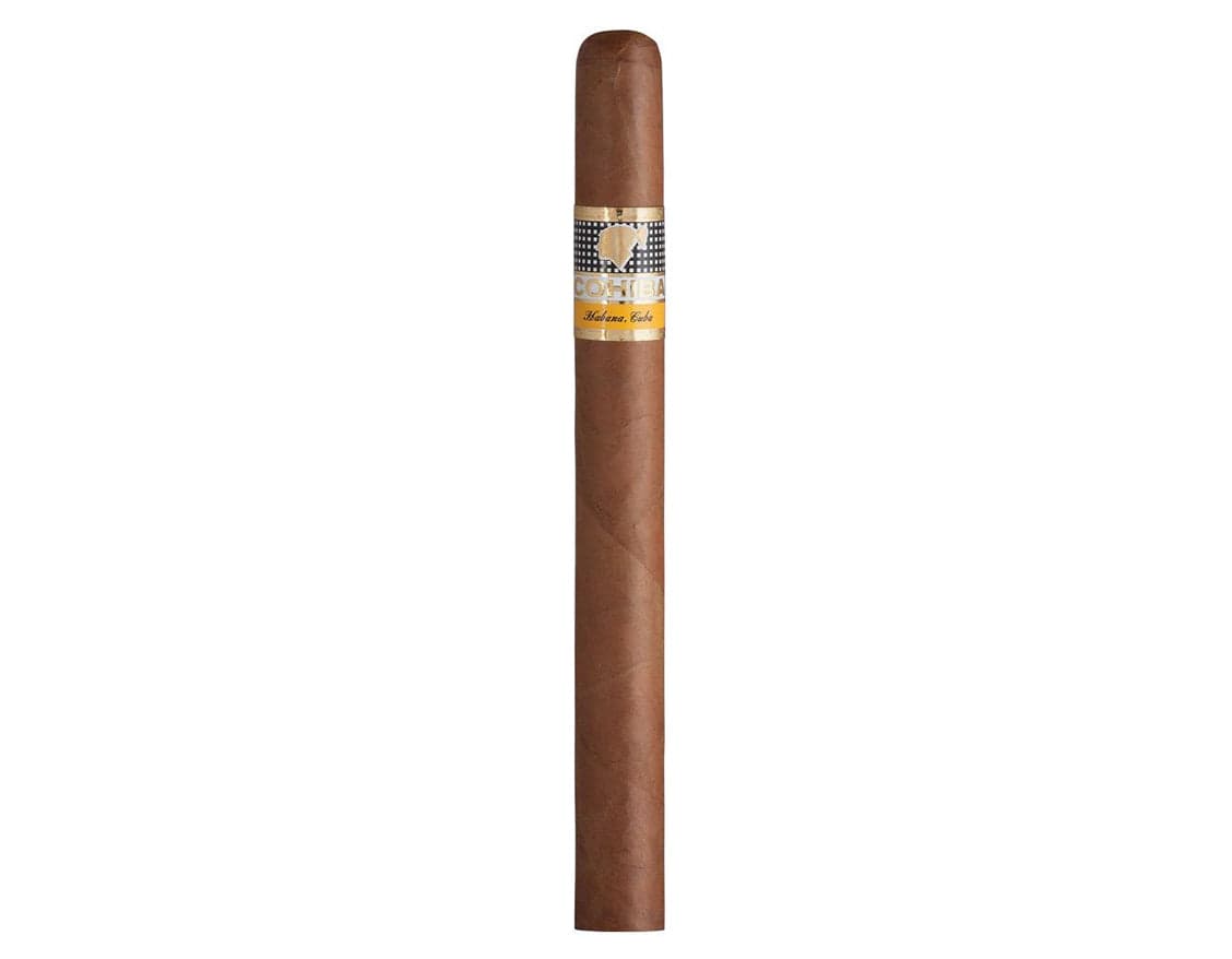 世纪5号 Siglo V (25枝) - 2