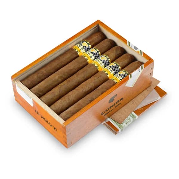 世纪6号 Siglo VI (10枝)