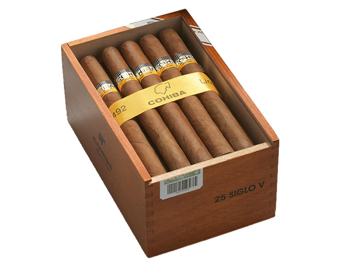 世纪5号 Siglo V (25枝)