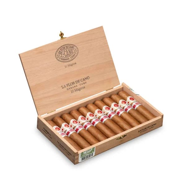 罗伯图荷兰地限 Robusto Edición Regional Países Bajos (10枝)